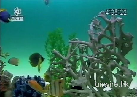 升級數碼版! ATV 魚樂無窮於下月起復播