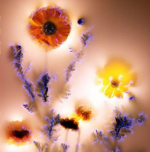 有感而發．攝影與 CG