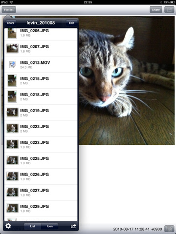 Buffalo NAS – iPhone/iPad App 新增「AirPlay」播放支緩
