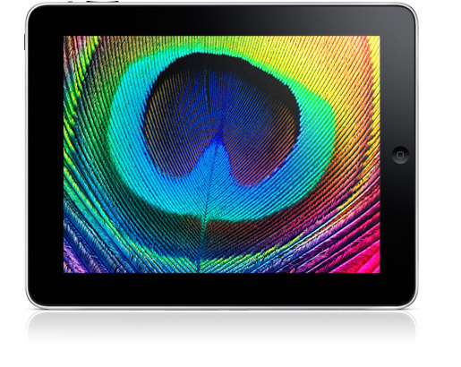 超高清 iPad 3 明年推出