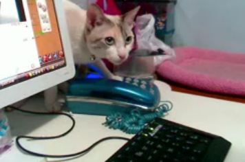 14/11 unwire 討論區精選