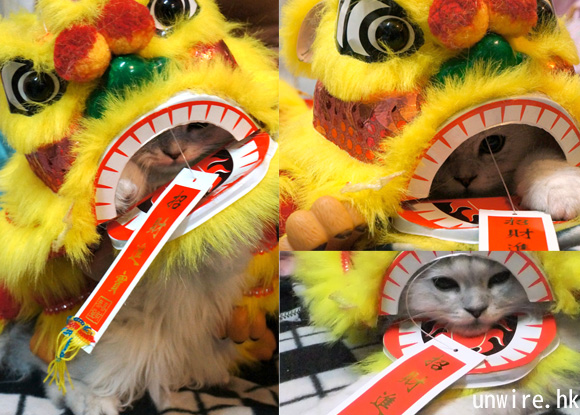 unwire.hk 招財貓貓同大家拜個早年