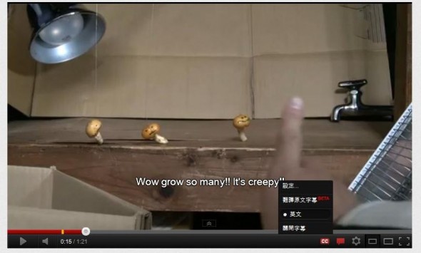 [Android][iOS] 熱爆種菇遊戲 Mushroom Garden 推出真人版！