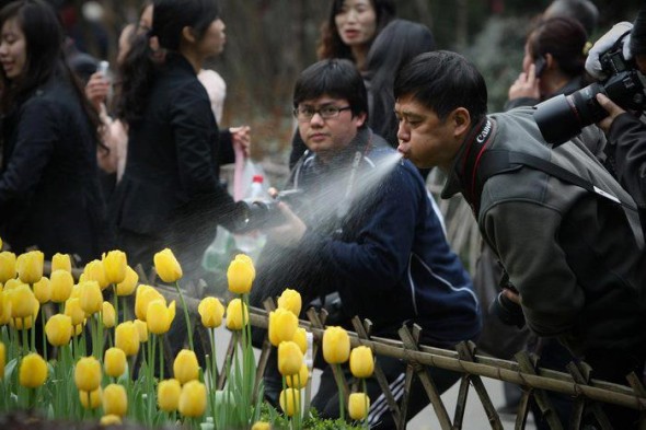 [有相] 由「花展」看被港人所扭曲的攝影