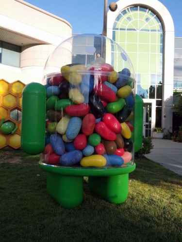 Jelly Bean 先生入廠了