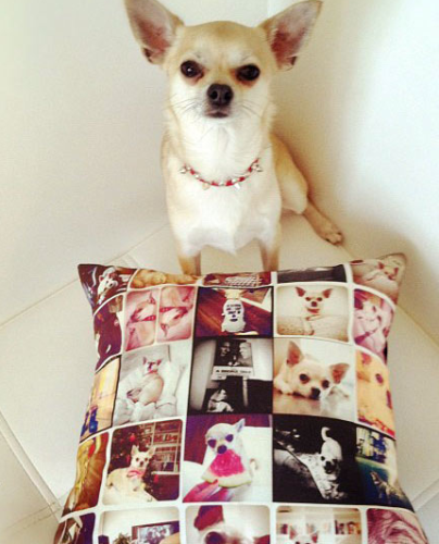 利用你的 Instagram 相片，造出專屬椅墊