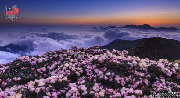 精彩的台灣 Time Lapse 影片