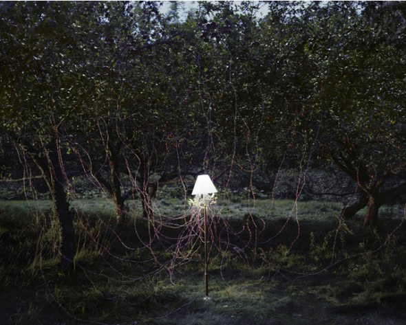 科學與藝術的完美結合 – 用蘋果樹點起來的燈