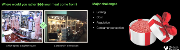 3D 打印技術製可食用的肉，不用殺生都可以食肉