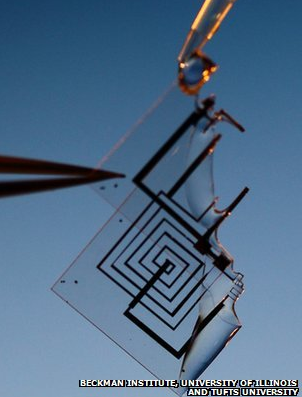 一部可被人體快速吸收的相機