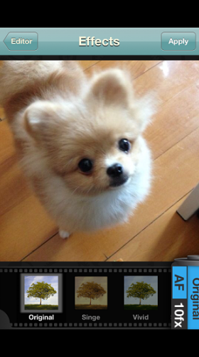 【iOS App】免費！超過 300 款可愛圖案、20 款框架任用