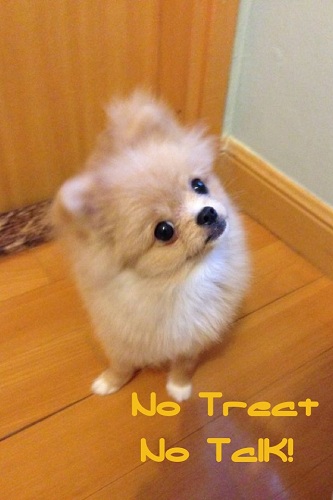 【iOS App】免費幫手機相加上 180 款字體