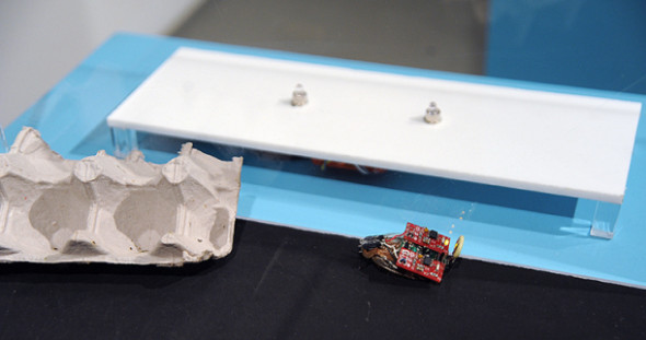 電子裝置植入！用 Twitter 控制小強走動