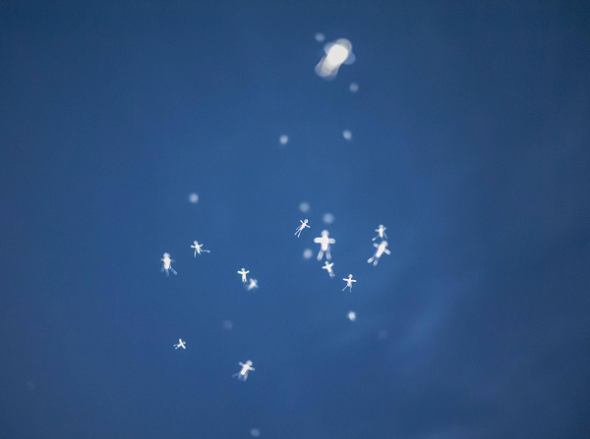 從天而降的小人兒？