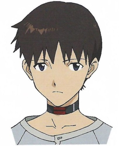 「福音戰士新劇場版：Q」 3.33 BD 有重大 Bug？