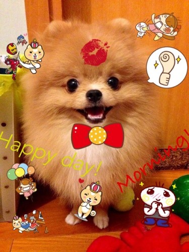 【iOS、Android App】台灣插畫師作品．有心思寫 Note、執相