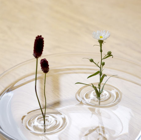 留得住的漣漪．讓你在水中央插花