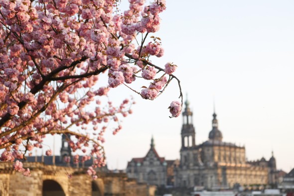 獨女歐遊：旅行 Gadget 及 App 分享