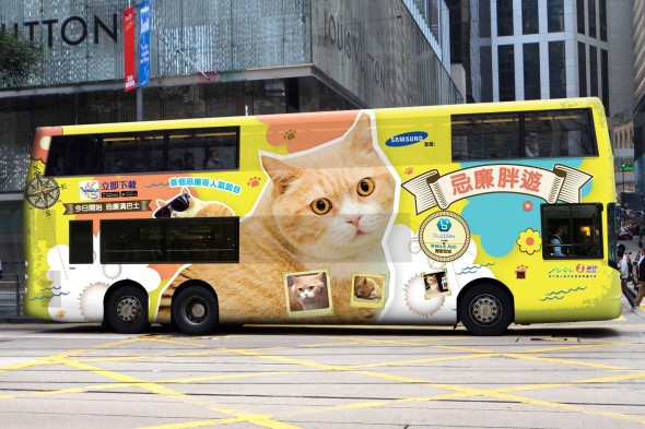 「忌廉哥」Fans 不要錯過．專屬節目本月 10 日開始播出