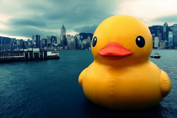 「大鴨鴨攝影比賽」結果公佈