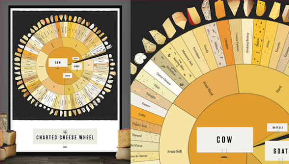 全球 66 種 Yummy 芝士一覽！你食過幾多隻？