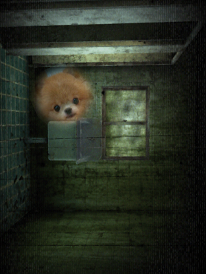 【iOS App】鬼同你合照