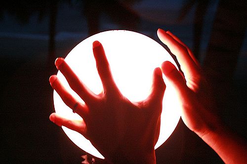 網語：大預言家？