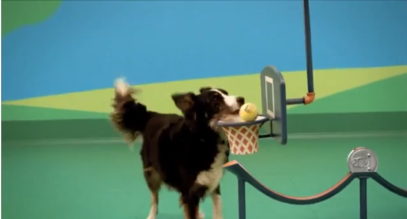 得意狗仔合作玩玩食食啟動裝置