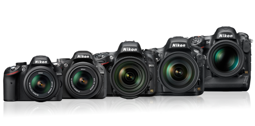 Nikon 重新出發！將推出新的入門級 DSLR