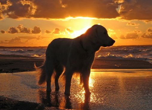 靚死人! CNN 評選全球 12 個最美日落景點