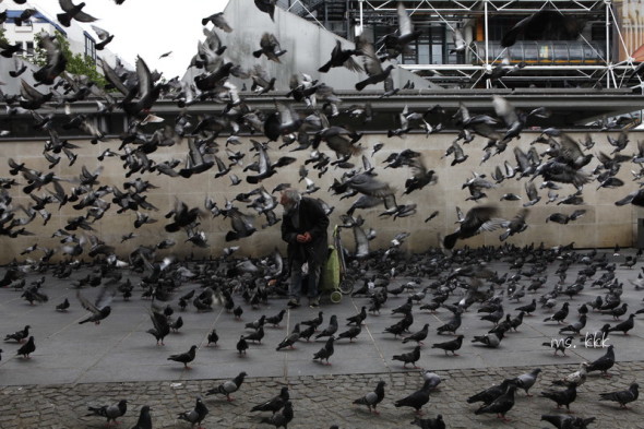 【獨女歐遊】去旅行應該帶什麼相機？