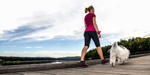 次時代狗繩 lishinu 解放你的雙手