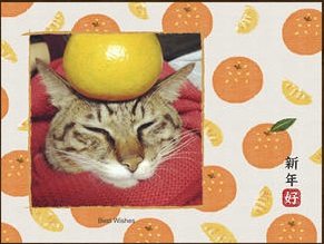 農曆新年應節 App：第四彈！年初三《新年賀卡 App》