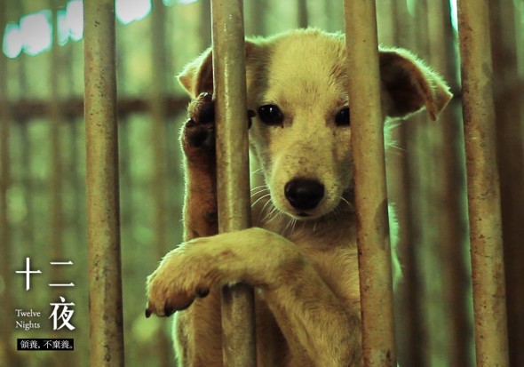 影評：《十二夜》生命與生存