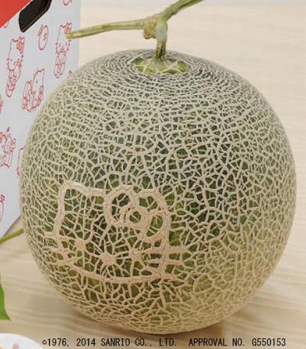 北海道產．Hello Kitty 40 週年紀念哈蜜瓜