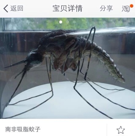 減肥新寶！¥15 一隻吸脂蚊登場