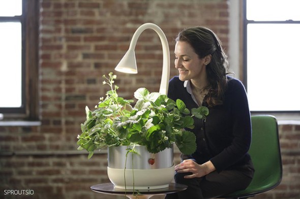 出 Trip 狂人最愛！麻州理工學活用「雲端」技術種花