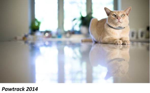 PawTrack 貓咪專用 GPS 追蹤器