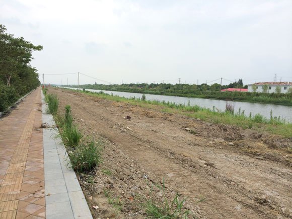 傳說中的上海迪士尼？日本記者揭露：仍是一塊爛地