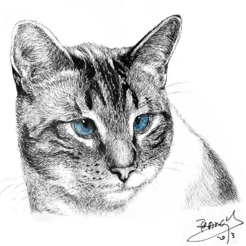 用 Samsung Galaxy Note 4 畫出寵物素描 – 真機試玩 + 心得分享