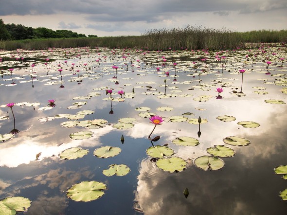 unwire 皓藍米埔行 :  教你入米埔 ＋ 5 大影相靚位