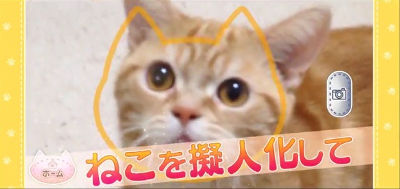 讓貓咪成為手機 RPG 遊戲角色