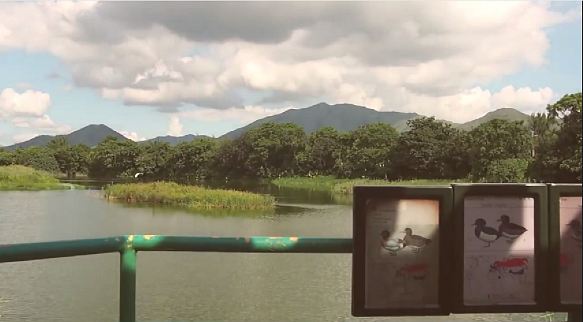 遊米埔前緊記 5 件事