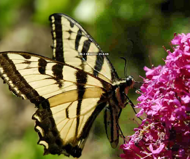 全新圖片格式 BPG 現身：比 JPG 壓縮更多，畫質不變