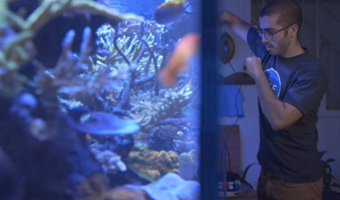 減低養魚死亡率 – FishBit 魚缸生態監測器