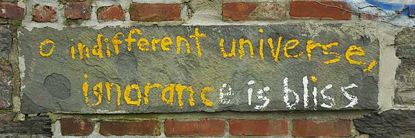 數碼港女週記：無知便是福？