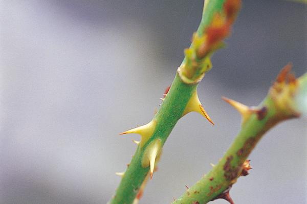 【藍畫面】情人節為什麼要悲哀