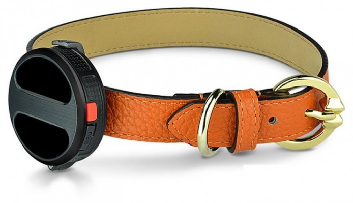 Haier 發表智能追蹤器  小童長者寵物通通有份