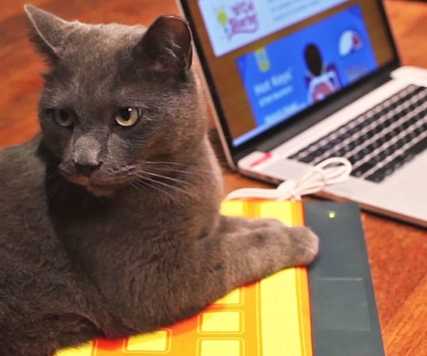 貓貓專用鍵盤？