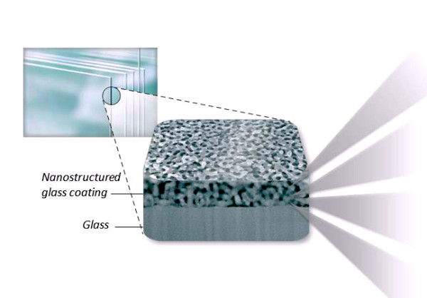 蛾眼蓮葉新發現！太陽能板效能再提升